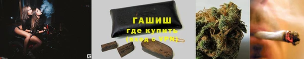 PSILOCYBIN Балахна