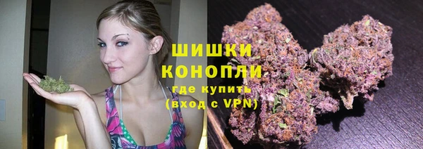 PSILOCYBIN Балахна