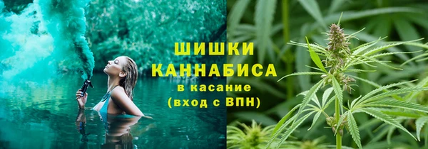 PSILOCYBIN Балахна