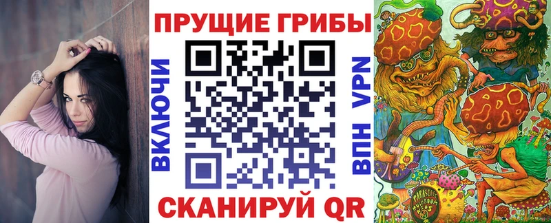 Псилоцибиновые грибы прущие грибы  Городище 